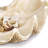 Imperial Clam-17648924