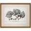 Black Mulberry Print