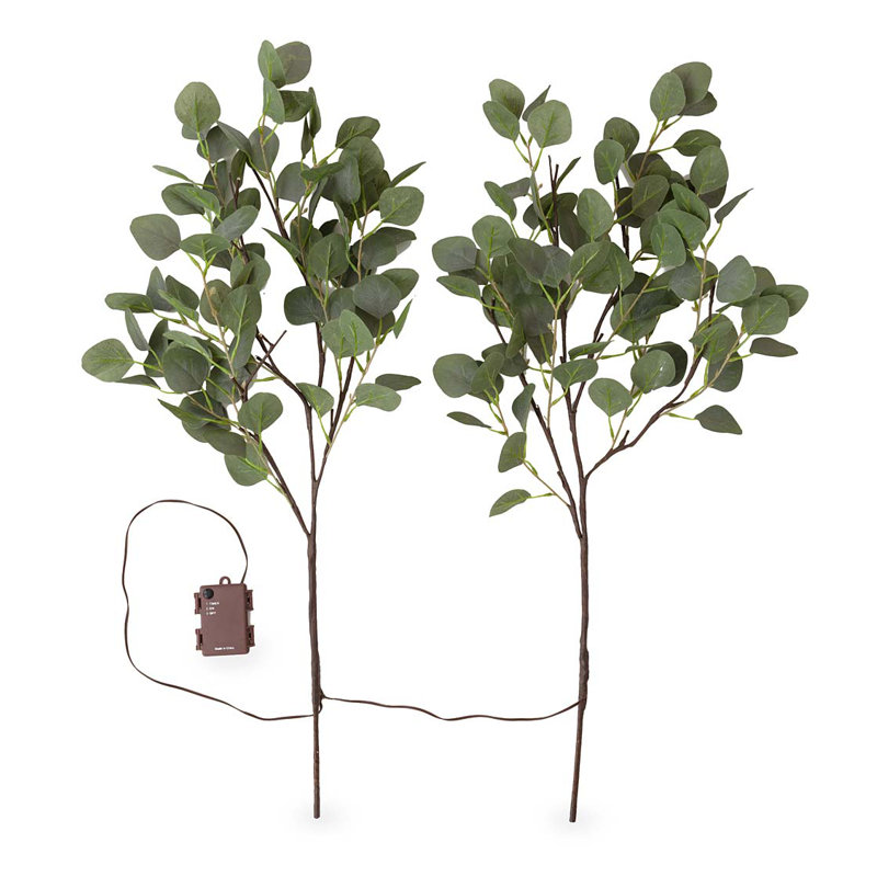 Eucalyptus Branches Battery Lighted Trees & Branches