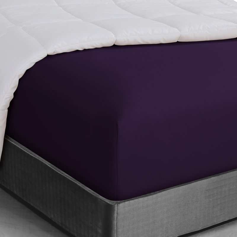 Wayfair Basics® 1800 Series Soft Microfiber Fitted Sheet, Eggplant, Full/Double Fitted Sheet