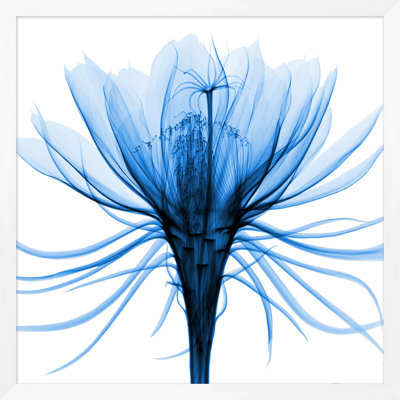 Hand-Picked Blue 2' Framed Graphic Art Print on Glass