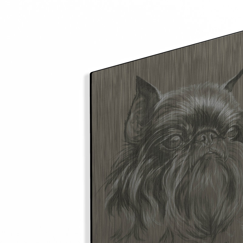 «Brussels Griffon 2» par Barbara Keith, H 16 po x l 12 po