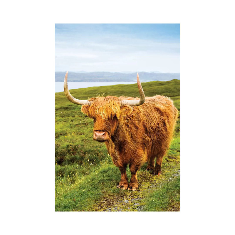 Highland Cow III par Susanne Kremer - Photographie sur toile tendue, H 18 po x l 12 po x 1,5 po