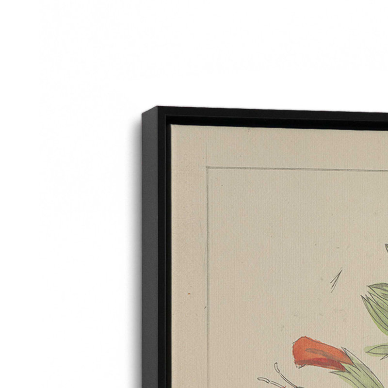 Salvia Florals I, reproduction d'art sur toile, H 18 po x l 12 po, Cadre flottant, Noir