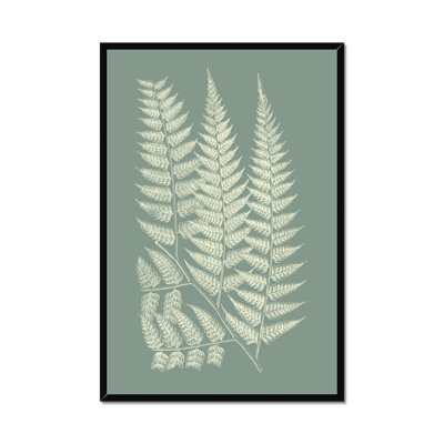 Ferns on Sage III 1 Piece Painting
