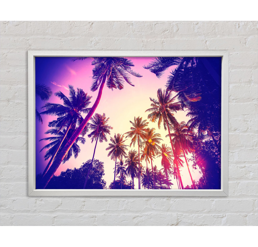 Palm Tree Glow - Druck