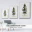 Watercolor Pine I, reproduction d'art sur toile-283572686-283572674