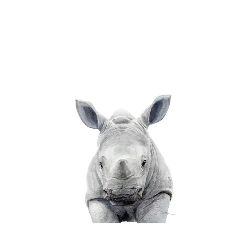 Baby Rhinceros by Watercolor Luv - Wrapped Canvas Painting, 66.04 cm H x 45.72 cm W