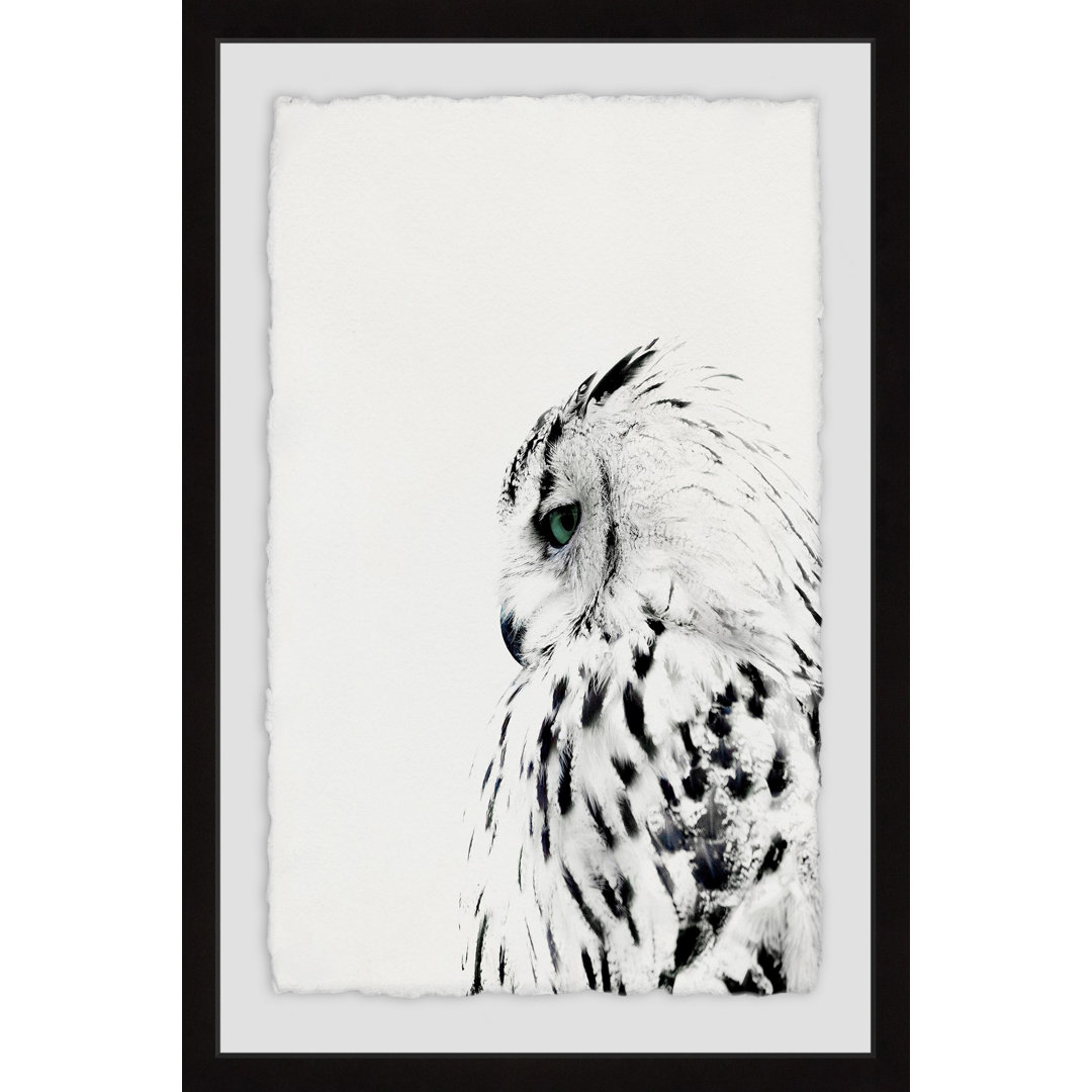 Steely Gaze by Maria Giovanni - Picture Frame Graphic Art Print Union Rustic 