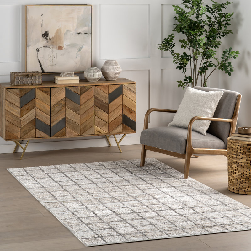  Xylia Checkered Area Rug, Rectangle 4' x 6'
