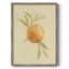 «Dappled Oranges I», reproduction encadrée - bois massif-1672384642