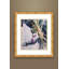 Chen Xiaoping After the Rain - Single Picture Frame Print