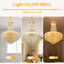 Alarica 10 - Light Chandelier
