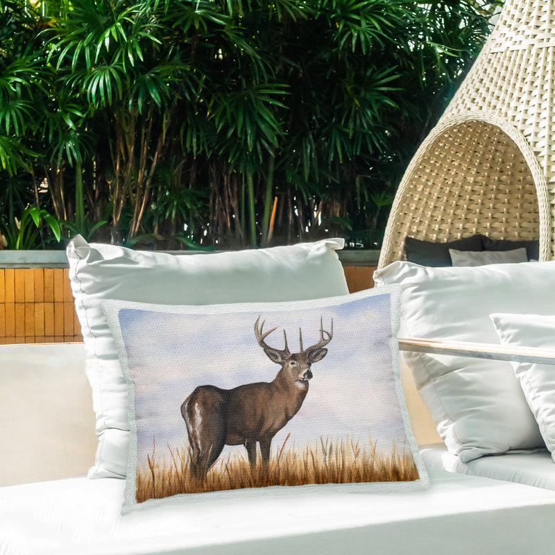 Outdoor Throw Pillow