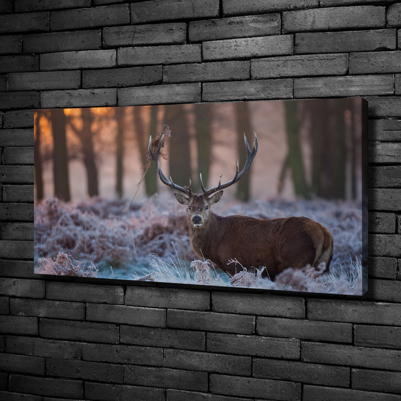 Deer At Sunrise - No Frame Print on Canvas