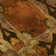 Premium Machine Washable Cerrito AMF564 Paprika Rug