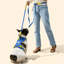 Harnais pour animal de compagnie Arlo-128618013-112400926