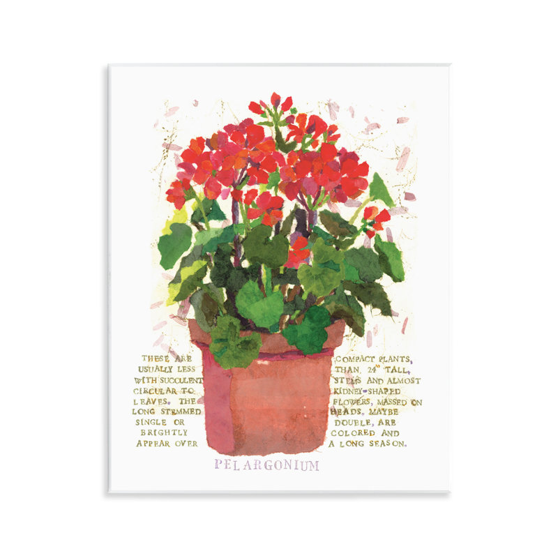 Art sur plaque en géranium rouge par Nancy Overton