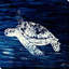 " Swim Along I " by Julie DeRice-31474822-31937893
