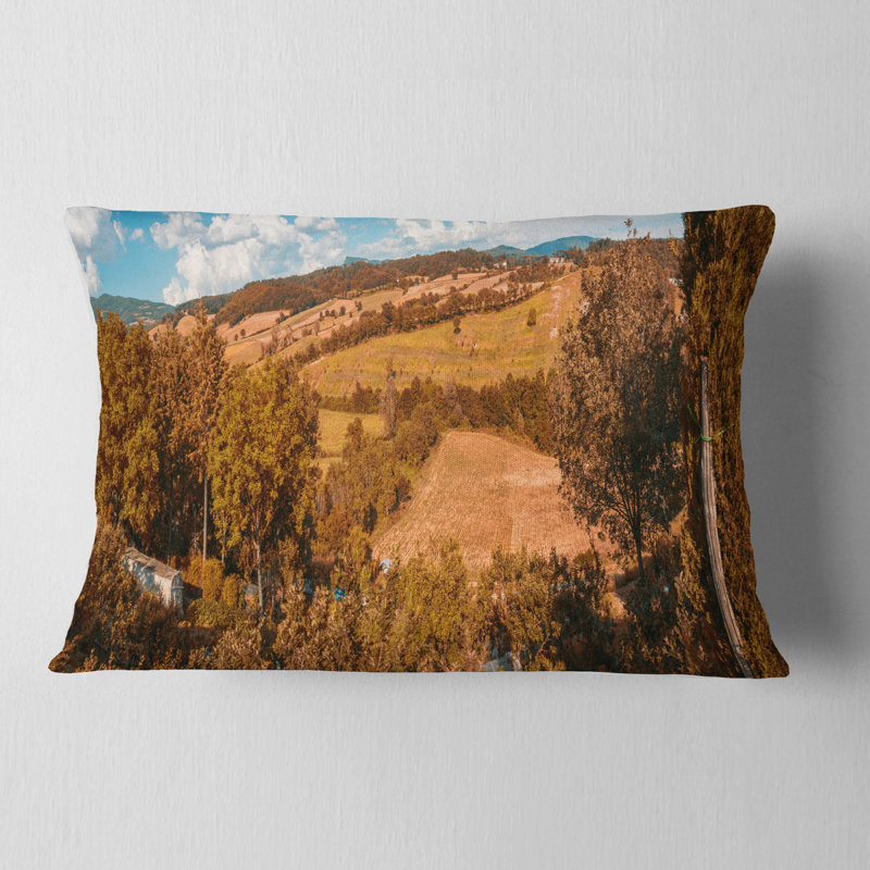 Coussin Schafer