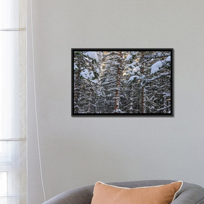 « snowbound » par bill sherrell, impression sur toile tendue