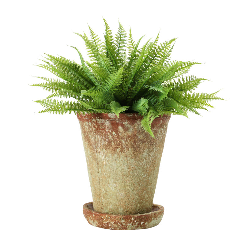 Pot à fleurs rond en ciment avec soucoupe Hillengas, H 8,63 po x l 7,13 po x P 7,13 po