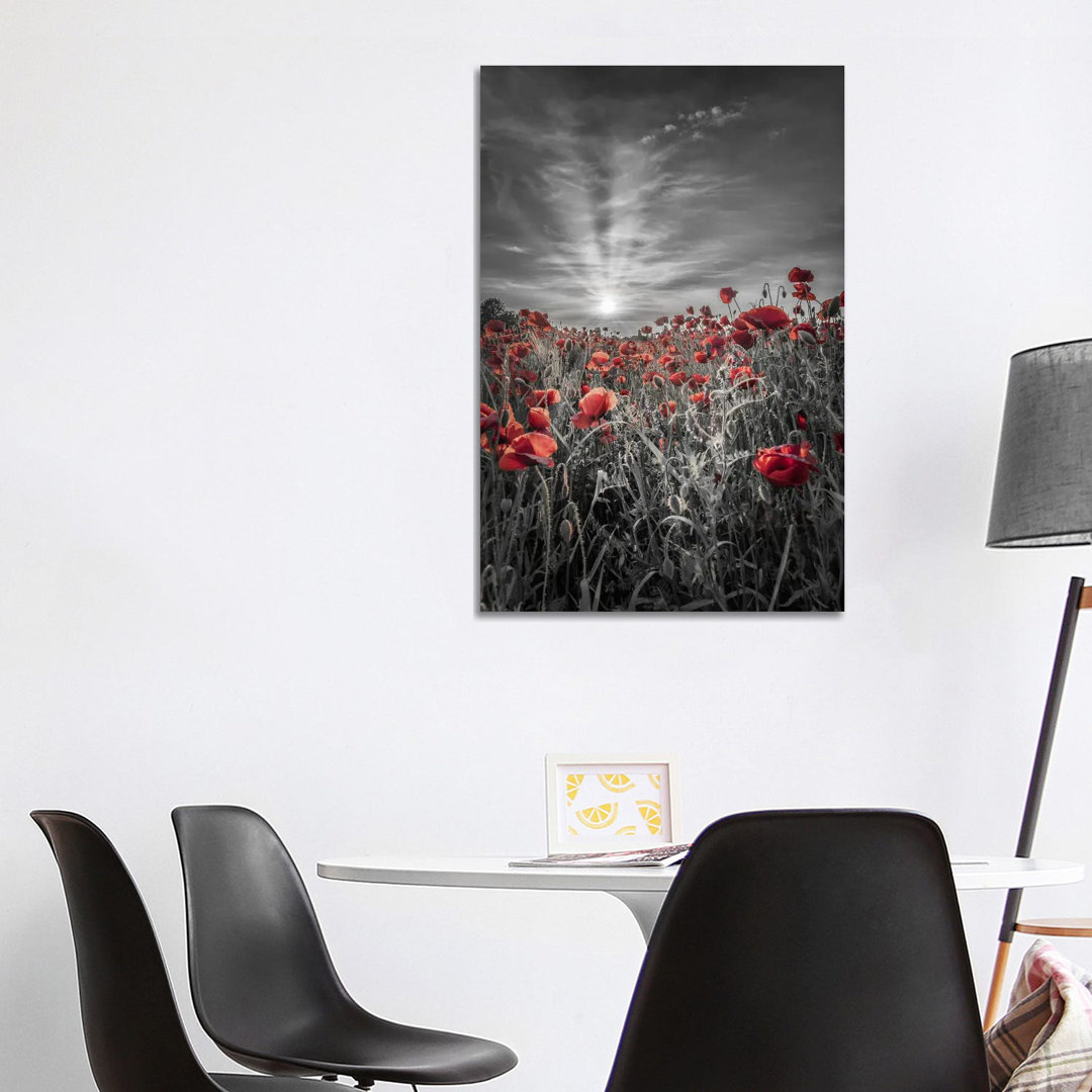 Lovely Sunset In A Poppy Field - Colorkey von Melanie Viola - No Frame Gallery-Wrapped Canvas Giclée on Canvas