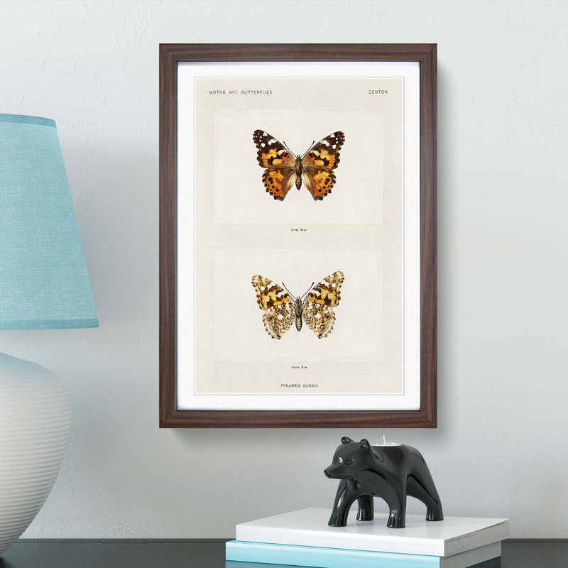 Painted Lady Butterfly by S.F. Denton - Framed Print, 48cm H x 36cm W x 2cm D, Walnut Framed