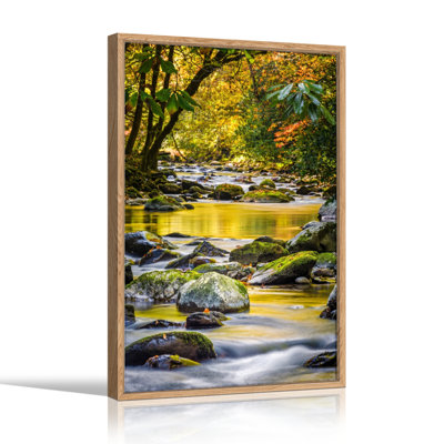 «Forest Stream», ensemble de 1 reproduction d'art sur toile