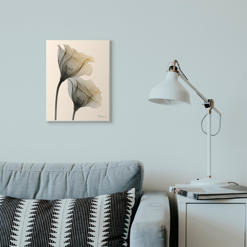 «Neutral Light Flower» par Albert Koetsier - reproduction de photo, H 14 po x l 11 po x P 1,5 po, Estampe numérique Farmhouse