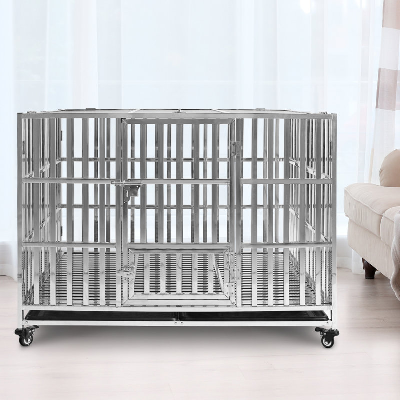 Cage pour chien en acier inoxydable Fasano, H 31 po x l 48 po x P 31 po