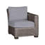 Rustic Patio Lounge Chair with Cushions-1110726972-1172305664-1147648280