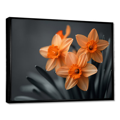 Monochromes tournesol sourire jonquilles I - jonquilles murales