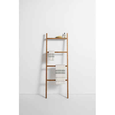 Woodsy Storage Ladder
