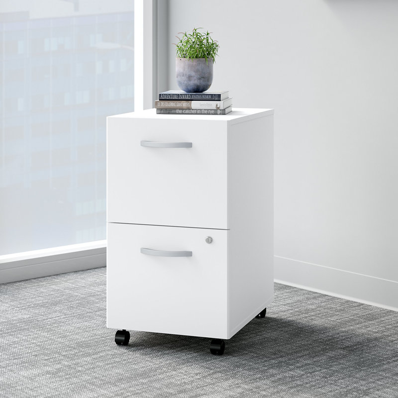Easy Office 20'' Wide 2 -Drawer Mobile File Cabinet