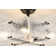 15.8" Modern Ceiling Fan with Dimmable Light, 3 Speeds, Reverse and Remote Included