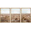 "Wildflower Field Rustic Illustration Modern Art Decor Living Room Office" 3 pièces-100781190-100781192