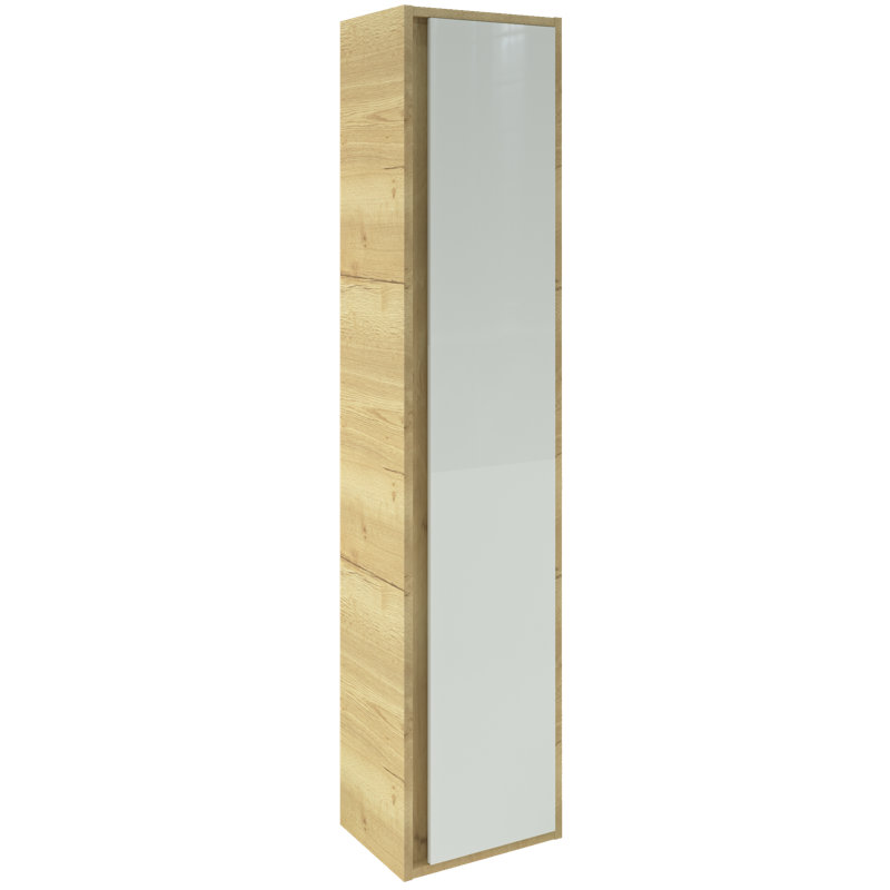 Triplett 35 x 160cm Wall Mounted Cabinet