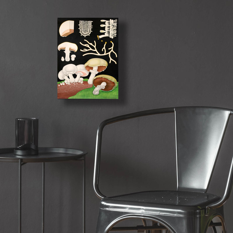 "Champignons" par Vintage Posters, H 16 po x l 12 po x P 0,13 po
