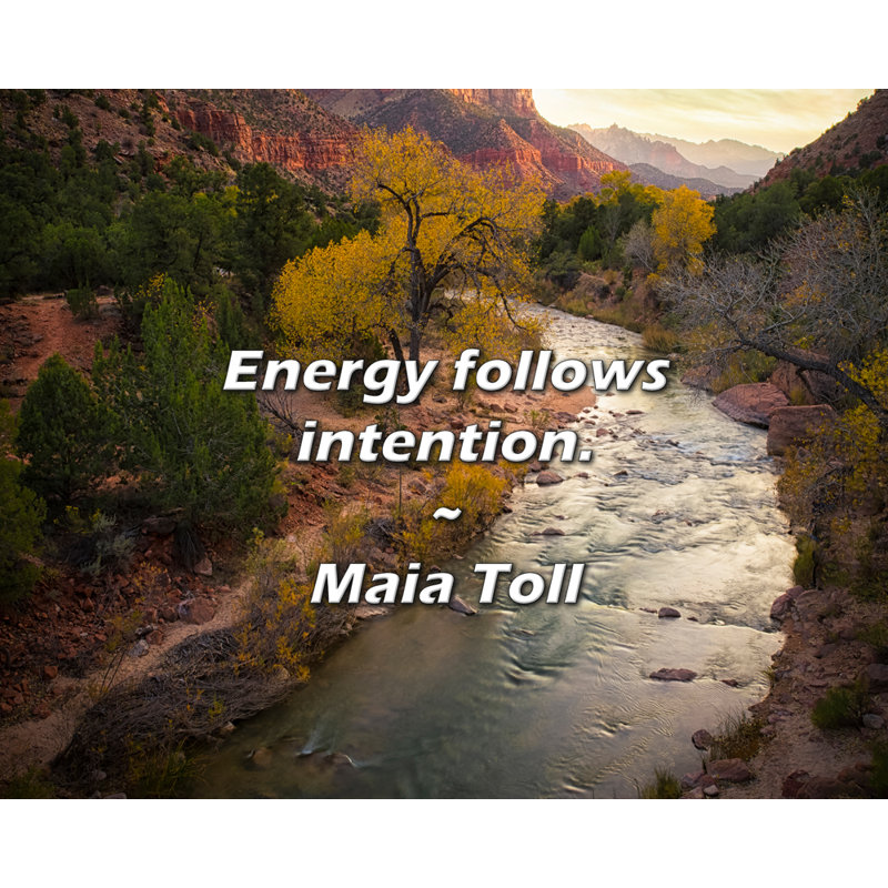 Maia Toll Citation: L'énergie suit l'intention.