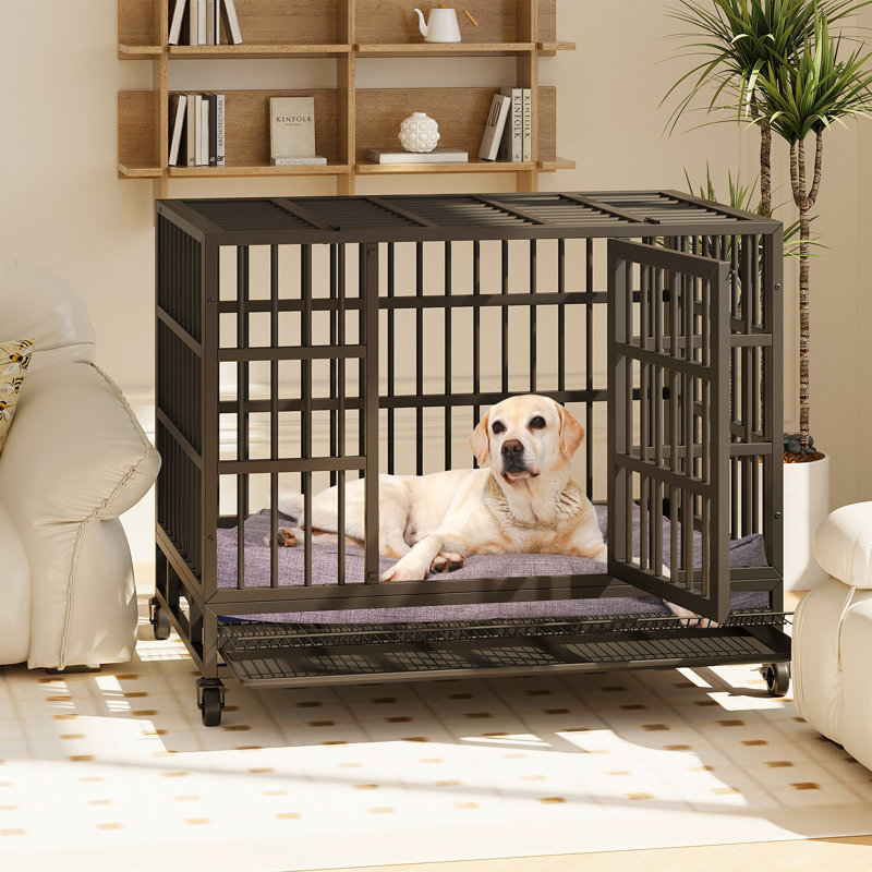 Cage pour chien robuste Stratford, H 35,6 po x l 47,1 po x P 29,9 po