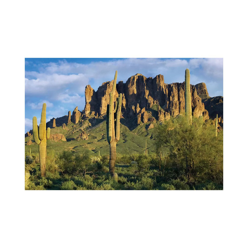 Saguaro Cacti And Superstition Mountains, Lost Dutchman State Park, Arizona I by Tim Fitzharris - Wrapped Canvas Print