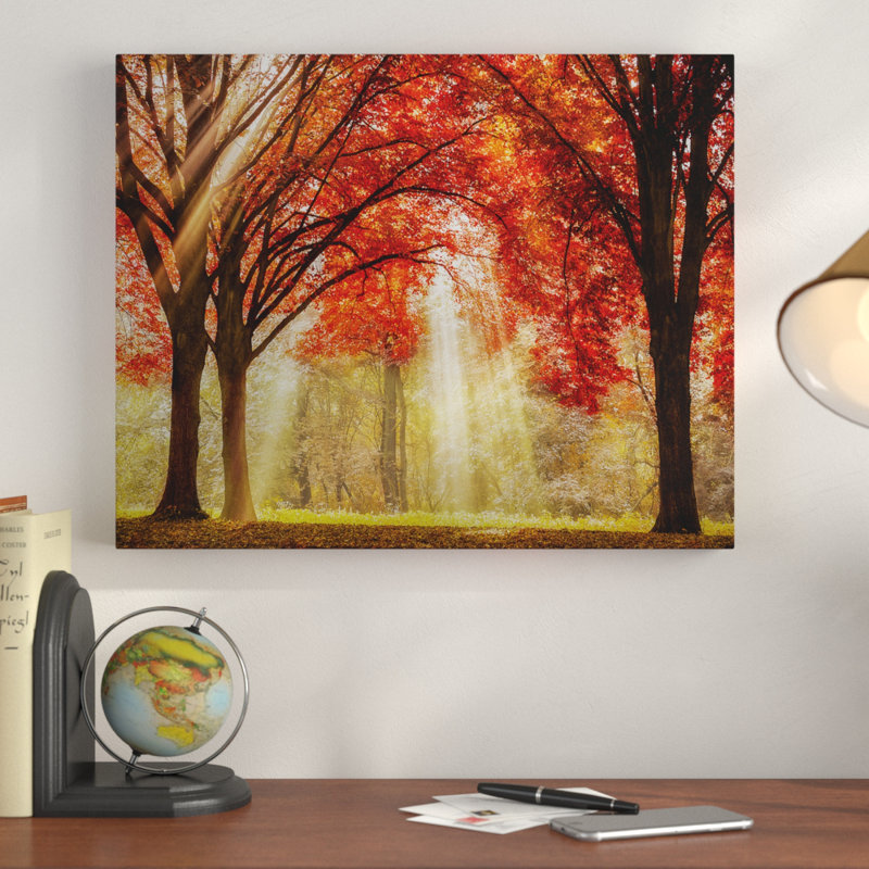 Everland - Reproduction de photo sur toile encadrée, H 30 po x l 40 po x P 1,5 po, Toile tendue