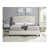 Beige/White