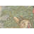 Peter Rabbit Beatrix Potter I European Cushion Covers-120132154