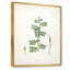 " Vintage Blossoming Flower III " Painting Print-59815157-59815158