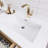 Tenshi 60'' Double Bathroom Vanity with Acrylic Top-10259962