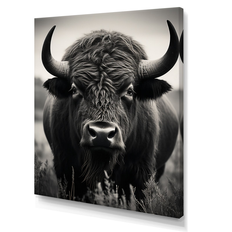 Bison Bison Grazing - Bison Wall Art, Toile tendue, H 20 po x l 12 po x P 1 po