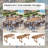 Oval Extendable Outdoor Dining Set-573345262