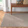 Oriental Indoor / Outdoor Rug
